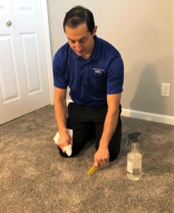 safe carpet spot and stain removal