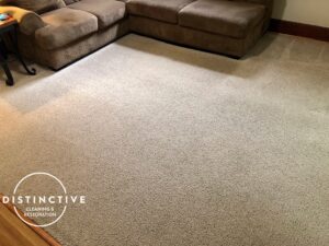 carpet cleaning after