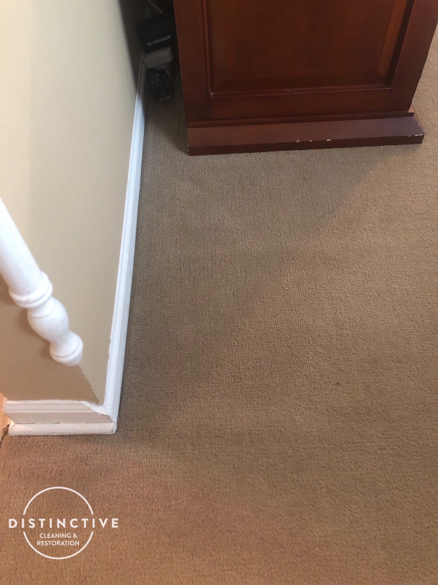 pet urine on carpet