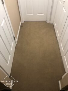pet urine on carpet