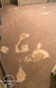 Bleach Color Loss Stain and Carpet Spot Dyeing - Fort Wayne, IN