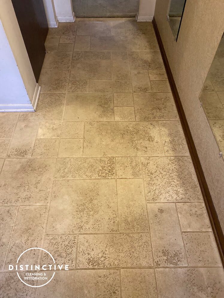 Dirty Vinyl Plank At Fort Wayne Home