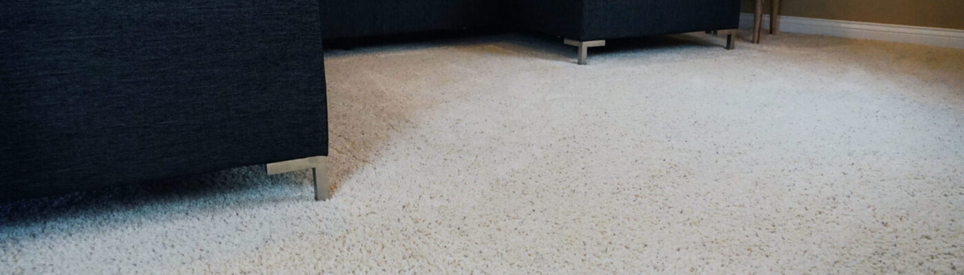 carpet cleaning